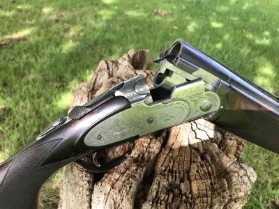Gun Image 2