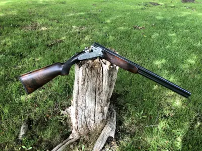 Gun Image 1