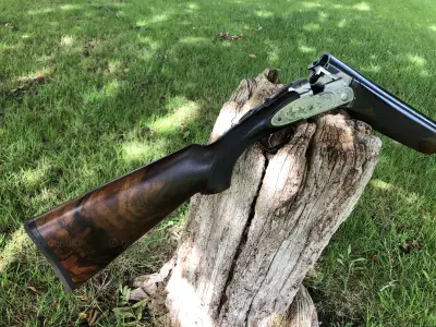 Gun Image 6