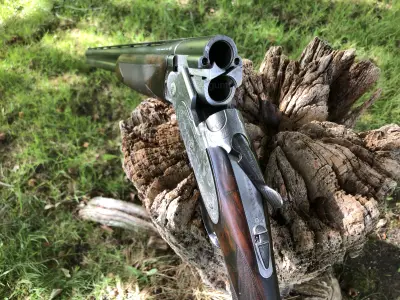 Gun Image 4