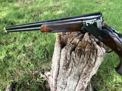 Gun Image 4