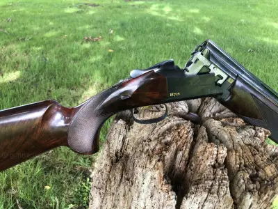 Gun Image 8