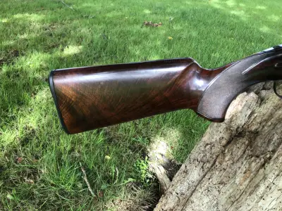 Gun Image 1