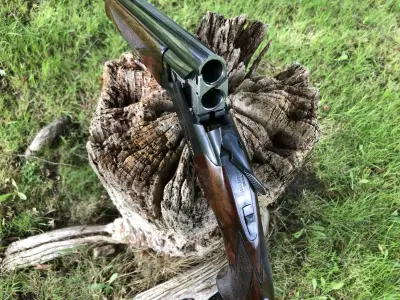 Gun Image 3
