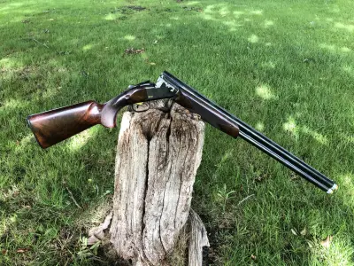 Gun Image 5