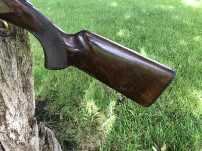 Gun Image 2