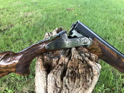 Gun Image 5