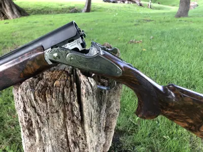 Gun Image 2
