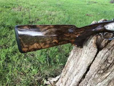 Gun Image 1