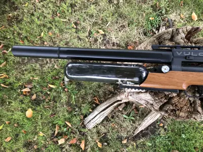 Gun Image 3