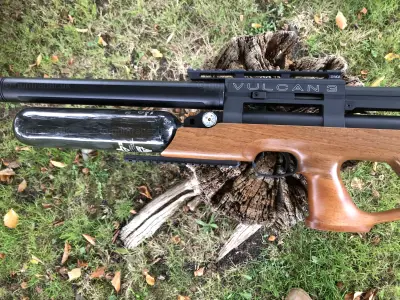 Gun Image 1
