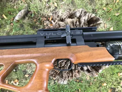 Gun Image 2
