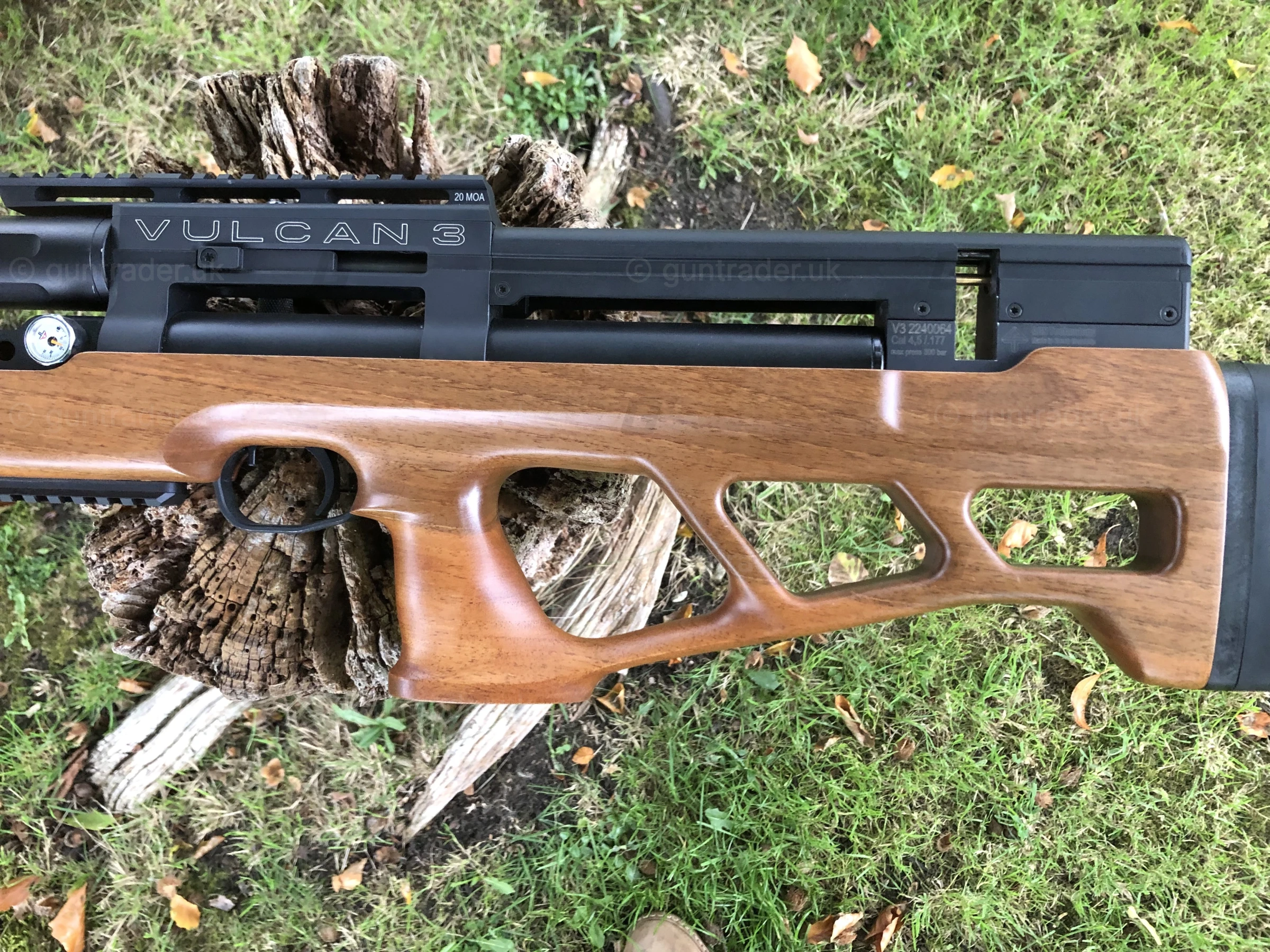 Photo of this gun