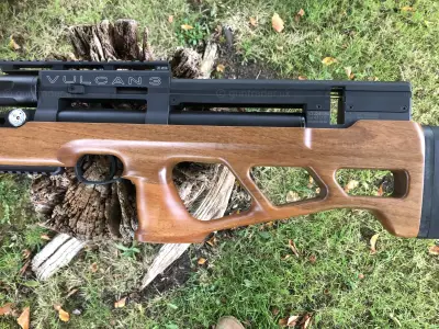 Gun Image 4