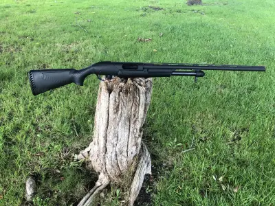 Gun Image 6