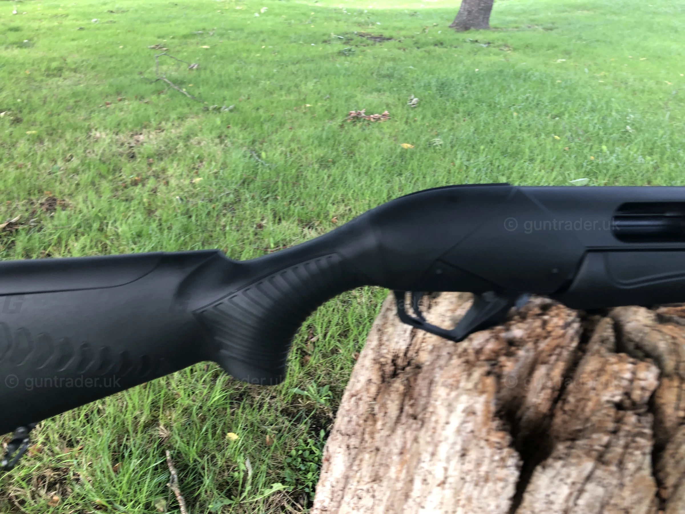 Photo of this gun