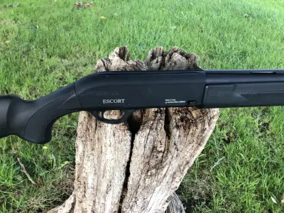 Gun Image 6