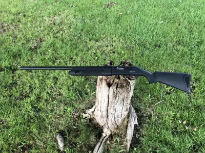 Gun Image 1