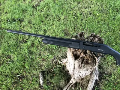 Gun Image 3