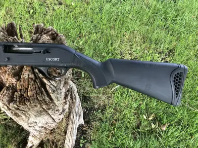 Gun Image 7