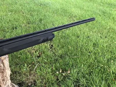 Gun Image 2