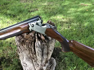 Gun Image 7