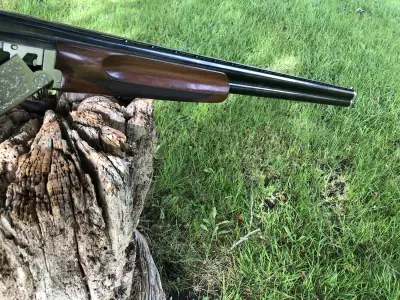 Gun Image 8