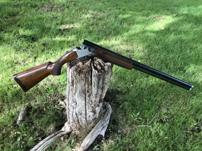 Gun Image 9