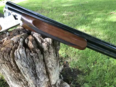 Gun Image 2