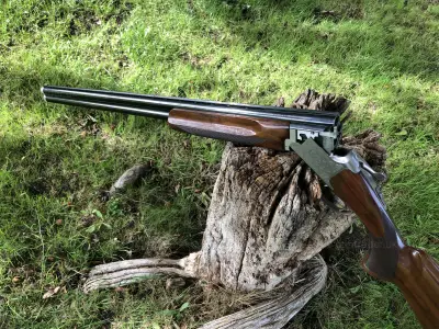 Gun Image 5