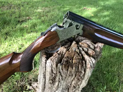 Gun Image 3