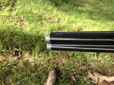 Gun Image 1