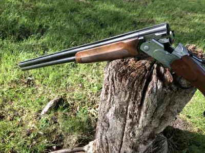 Gun Image 3