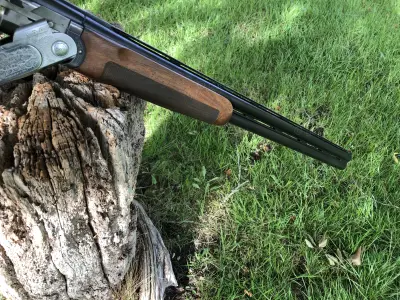 Gun Image 6