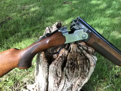 Gun Image 4