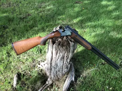 Gun Image 1