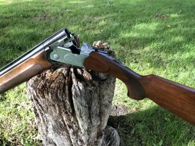 Gun Image 7