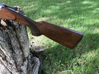 Gun Image 2