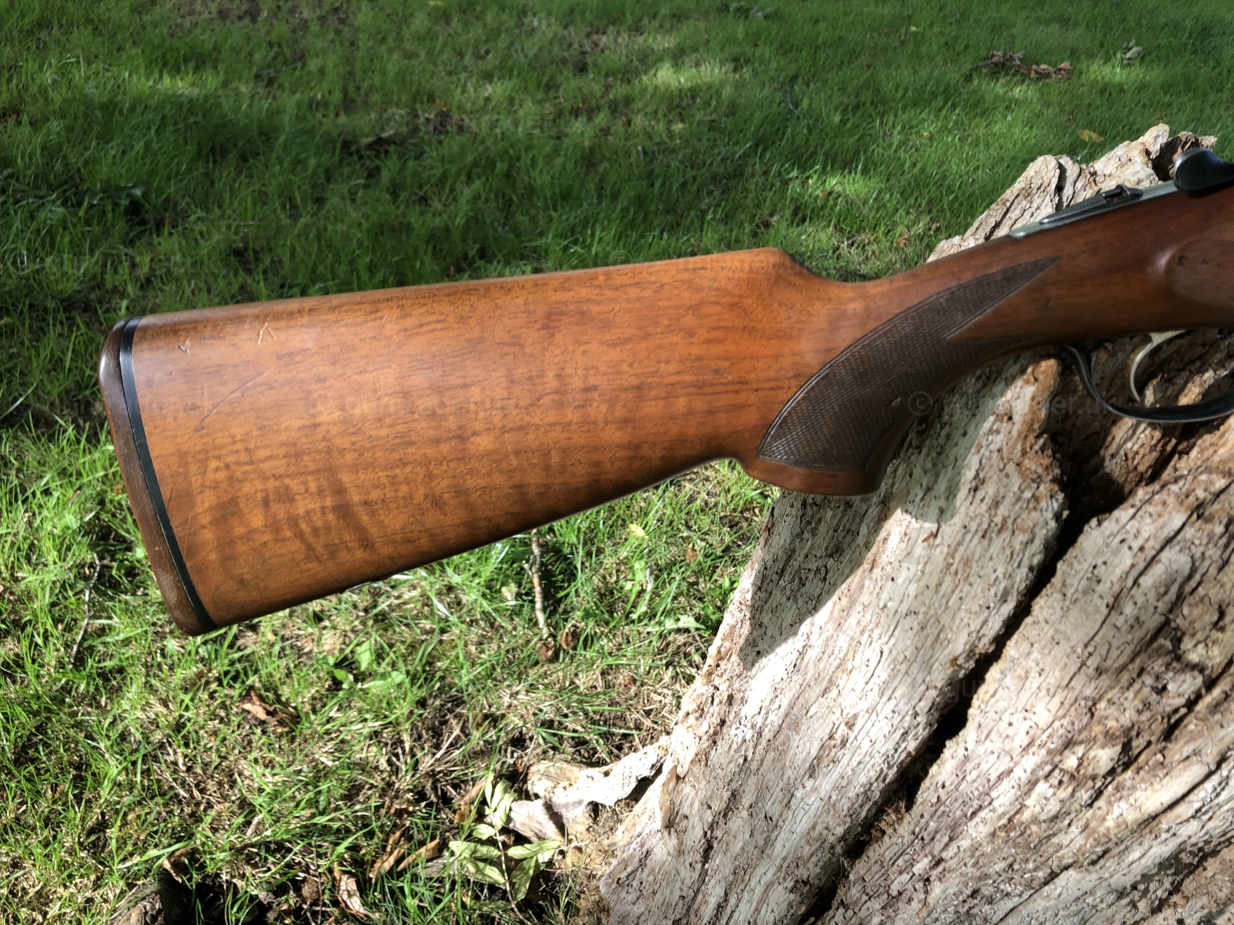 Photo of this gun