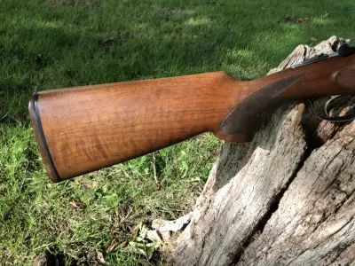 Gun Image 5