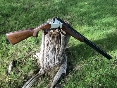 Gun Image 3