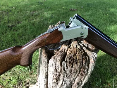 Gun Image 1