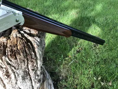 Gun Image 2