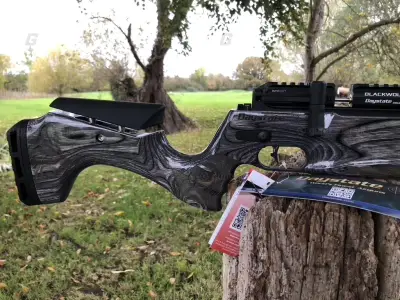Gun Image 2