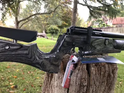Gun Image 3