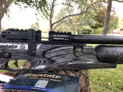 Gun Image 4