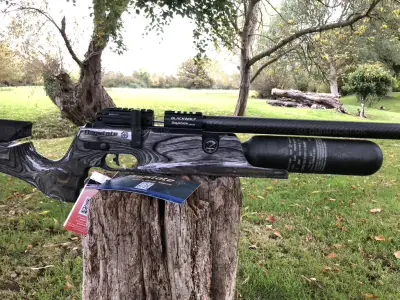 Gun Image 5