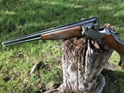 Gun Image 8