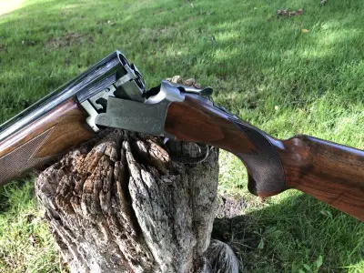 Gun Image 2