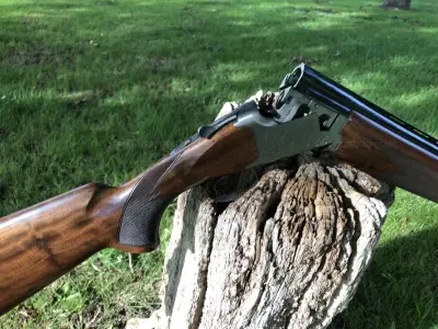 Gun Image 1